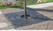 Tree Grates